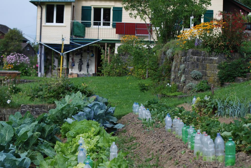 Sonnmatt Bergpension & Gesundheitszentrum Ebnat-Kappel Esterno foto